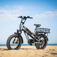 Load image into Gallery viewer, FUCARE Class 3 E-Bike with up to 180 km battery range; All-Terrain Fat Tire, 750W, 20 In. 28MPH 48V 30Ah, Full Suspension, Shimano 7 Speed; 5.3" LCD; Cruise Control